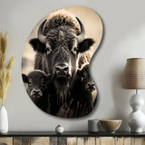 Bison Bison Family Bond - Asymmetric Metal Wall Art