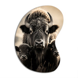 Bison Bison Family Bond - Asymmetric Metal Wall Art