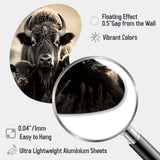 Bison Bison Family Bond - Asymmetric Metal Wall Art