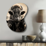 Bison Bison Family Bond - Asymmetric Metal Wall Art