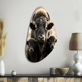 Bison Bison Family Bond - Asymmetric Metal Wall Art