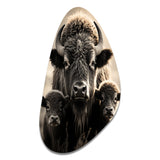 Bison Bison Family Bond - Asymmetric Metal Wall Art