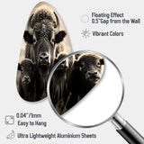 Bison Bison Family Bond - Asymmetric Metal Wall Art