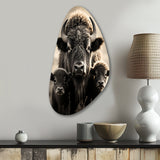 Bison Bison Family Bond - Asymmetric Metal Wall Art