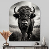 Bison Tales Of The Prairies - Asymmetric Metal Wall Art