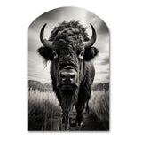 Bison Tales Of The Prairies - Asymmetric Metal Wall Art