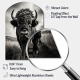 Bison Tales Of The Prairies - Asymmetric Metal Wall Art