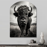 Bison Tales Of The Prairies - Asymmetric Metal Wall Art