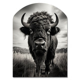 Bison Tales Of The Prairies - Asymmetric Metal Wall Art