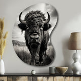 Bison Tales Of The Prairies - Asymmetric Metal Wall Art