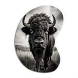 Bison Tales Of The Prairies - Asymmetric Metal Wall Art