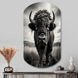 Bison Tales Of The Prairies - Asymmetric Metal Wall Art