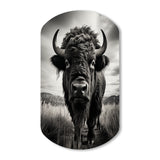 Bison Tales Of The Prairies - Asymmetric Metal Wall Art