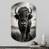 Bison Tales Of The Prairies - Asymmetric Metal Wall Art