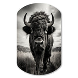 Bison Tales Of The Prairies - Asymmetric Metal Wall Art