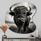 Bison Tales Of The Prairies - Asymmetric Metal Wall Art