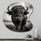 Bison Tales Of The Prairies - Asymmetric Metal Wall Art