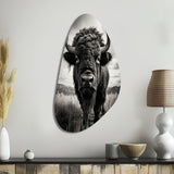 Bison Tales Of The Prairies - Asymmetric Metal Wall Art