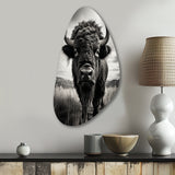 Bison Tales Of The Prairies - Asymmetric Metal Wall Art