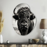 Bison Tales Of The Prairies - Asymmetric Metal Wall Art