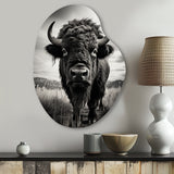 Bison Tales Of The Prairies - Asymmetric Metal Wall Art