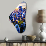 Bluebonnets Flower Blissful II - Asymmetric Metal Wall Art