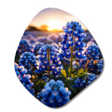 Bluebonnets Flower Blissful II - Asymmetric Metal Wall Art