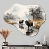 Grey Buffalo Misty Morning Grazing II - Asymmetric Metal Wall Art