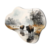 Grey Buffalo Misty Morning Grazing II - Asymmetric Metal Wall Art