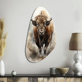 Buffalo Majestic Bison - Asymmetric Metal Wall Art