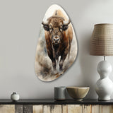 Buffalo Majestic Bison - Asymmetric Metal Wall Art