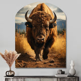 Bison Protrait II - Asymmetric Metal Wall Art