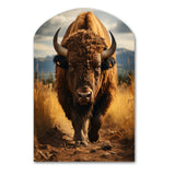 Bison Protrait II - Asymmetric Metal Wall Art