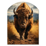 Bison Protrait II - Asymmetric Metal Wall Art