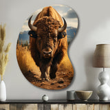 Bison Protrait II - Asymmetric Metal Wall Art