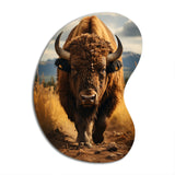 Bison Protrait II - Asymmetric Metal Wall Art