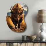 Bison Protrait II - Asymmetric Metal Wall Art