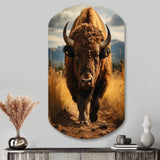 Bison Protrait II - Asymmetric Metal Wall Art