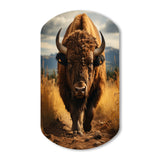 Bison Protrait II - Asymmetric Metal Wall Art