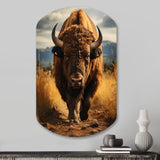 Bison Protrait II - Asymmetric Metal Wall Art