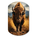 Bison Protrait II - Asymmetric Metal Wall Art