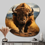 Bison Protrait II - Asymmetric Metal Wall Art