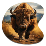 Bison Protrait II - Asymmetric Metal Wall Art