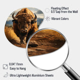 Bison Protrait II - Asymmetric Metal Wall Art