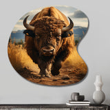 Bison Protrait II - Asymmetric Metal Wall Art