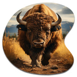 Bison Protrait II - Asymmetric Metal Wall Art