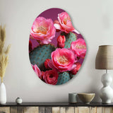 Pink Green Cactus Desert Bloom Prickly I - Asymmetric Metal Wall Art