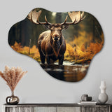 Canada Majestic Moose III - Asymmetric Metal Wall Art