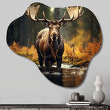 Canada Majestic Moose III - Asymmetric Metal Wall Art