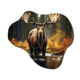 Canada Majestic Moose III - Asymmetric Metal Wall Art